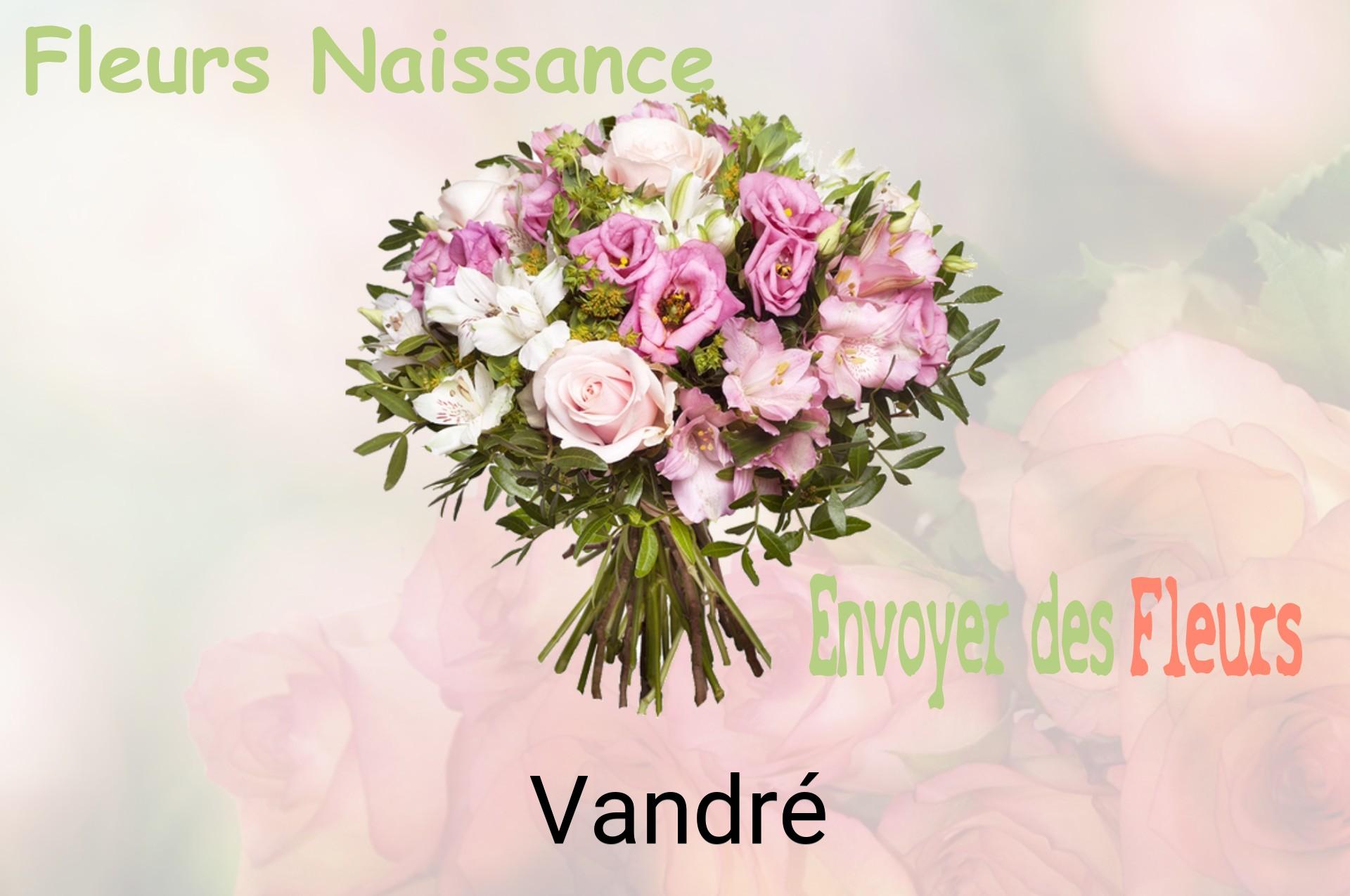 Bouquet de fleurs de naissance livré à Vandré